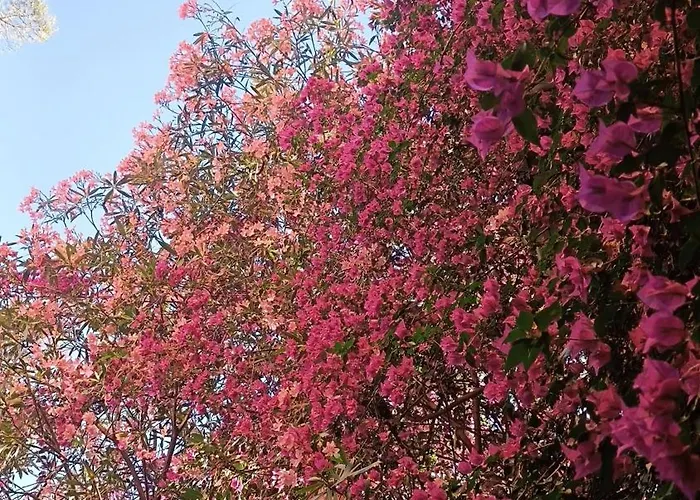 호텔 Sereno 2*